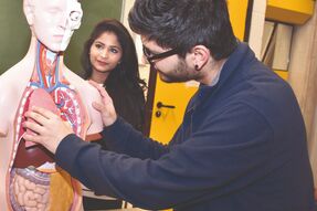 Gesundheit und Soziales (Vollzeit)