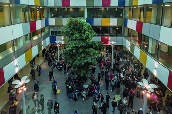 Leitbild und Schulprogramm