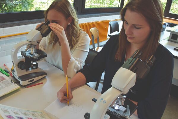 Berufliches Gymnasium für Gesundheit / Biologie