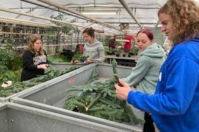 FAO1 gestaltet Adventsgestecke