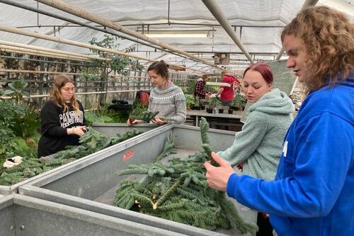 Adventsgestecke FAO1 2023