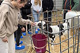 Betriebsbesichtigung Landwirtschaft 2025 BK Wesel