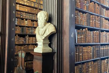 Erasmus Dublin: Sprachliche Fortschritte