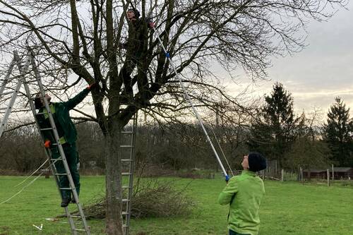 Landschaftsgärtner schneiden Gehölze
