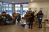 Weihnachtslandschaft 2023